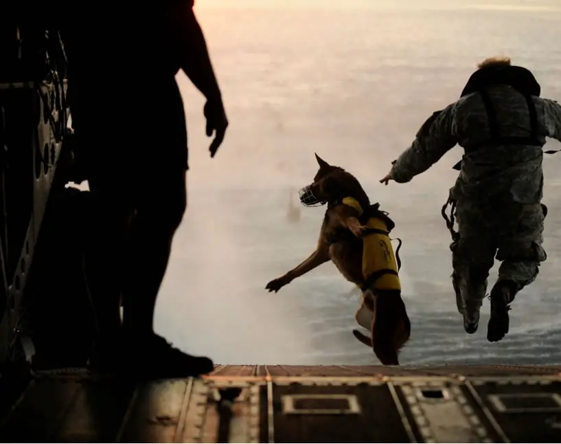 http://www.strategypage.com/gallery/images/dogs-of-war-water-leap-07-2011.jpg